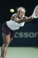 塞蕾娜・威廉姆斯图片:网球明星小威廉姆斯